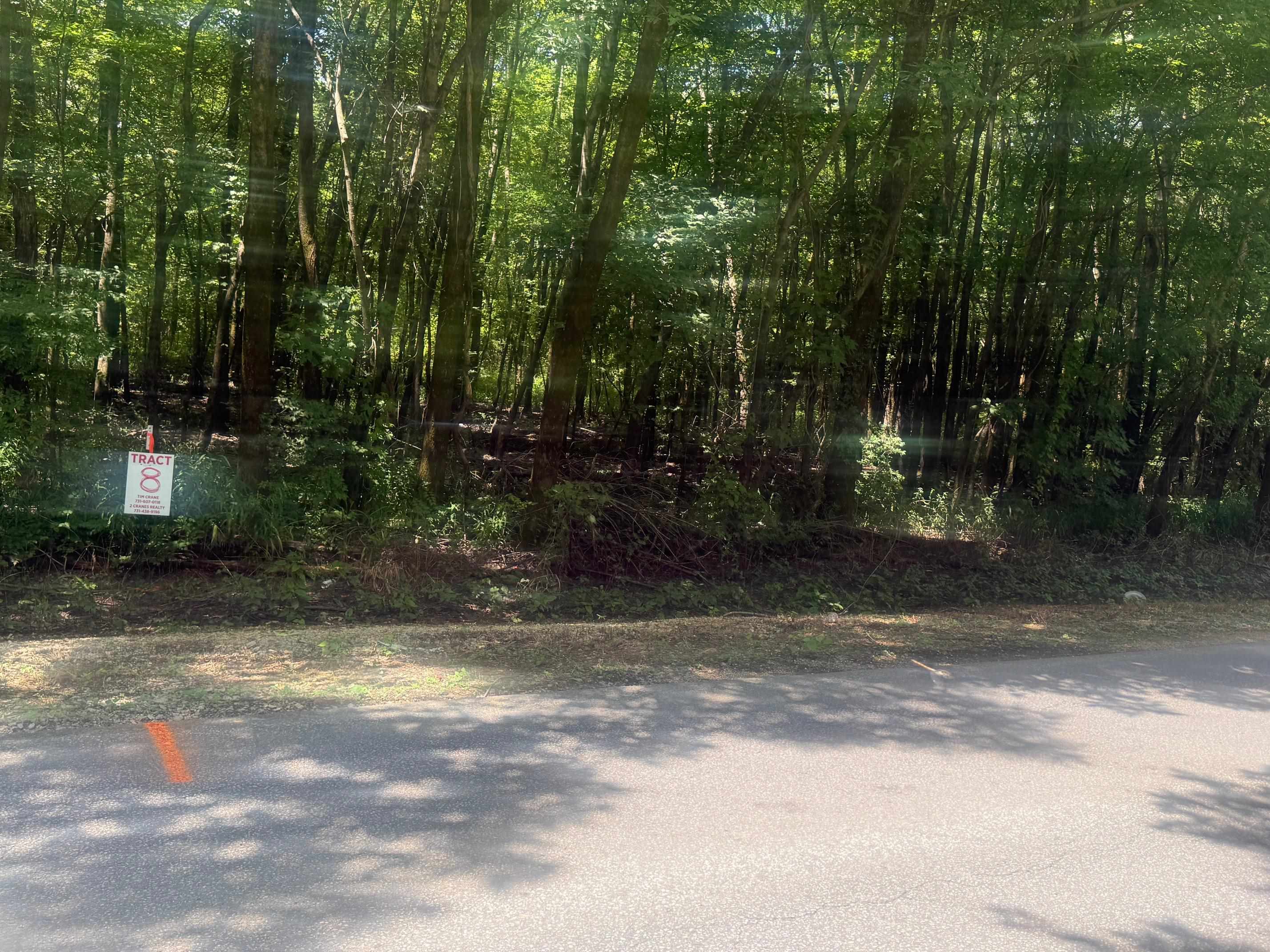 7 Coffee Landing Road Adamsville, TN 38310 - Photo 1 of 15 View of asphalt road