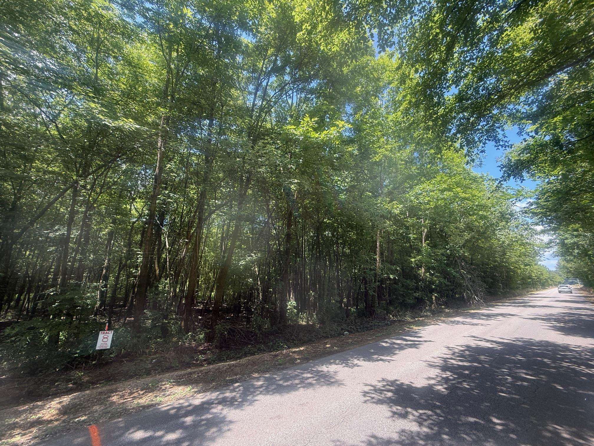 7 Coffee Landing Road Adamsville, TN 38310 - Photo 2 of 15 View of asphalt road featuring a forest view