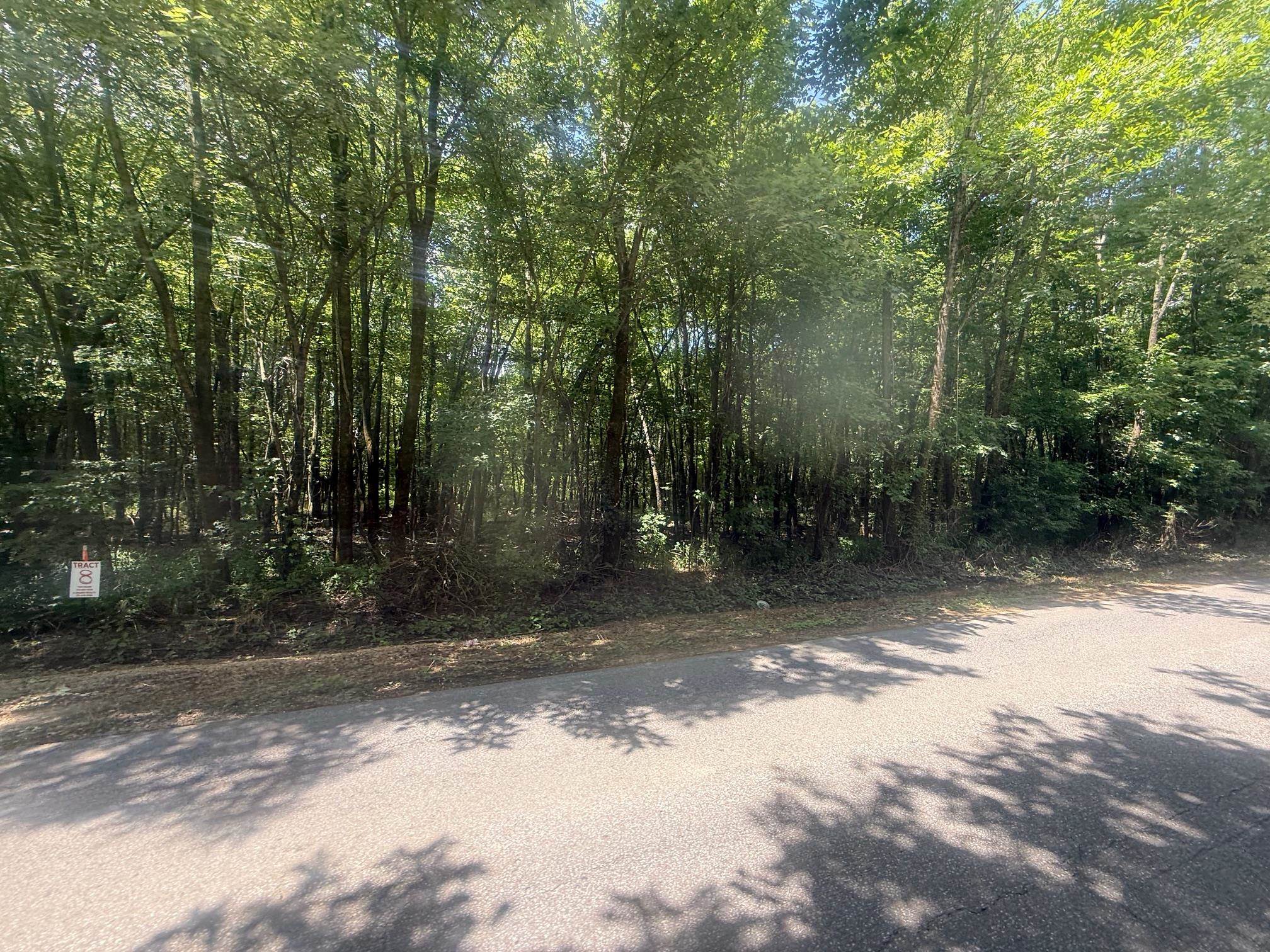 7 Coffee Landing Road Adamsville, TN 38310 - Photo 3 of 15 View of tree filled area