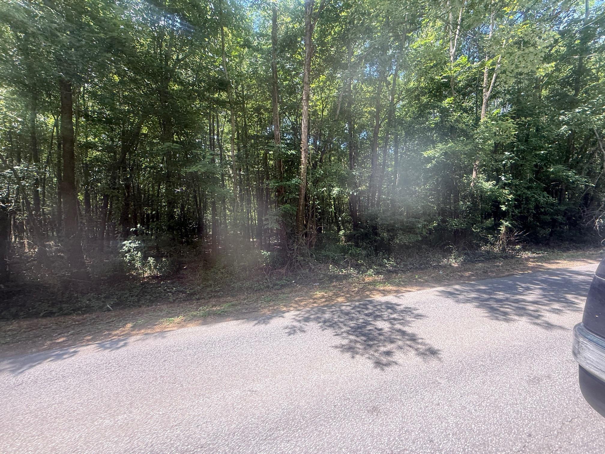 7 Coffee Landing Road Adamsville, TN 38310 - Photo 4 of 15 View of asphalt road