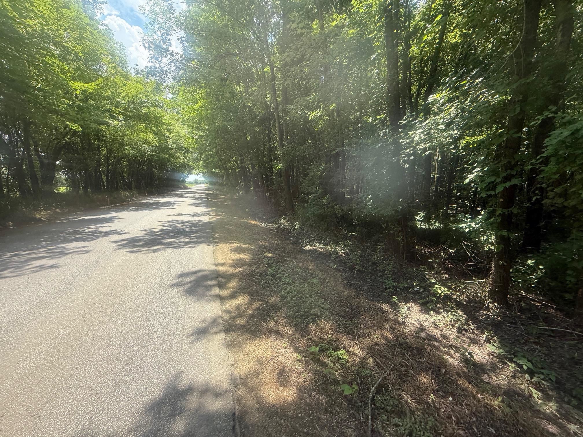 7 Coffee Landing Road Adamsville, TN 38310 - Photo 5 of 15 View of asphalt road