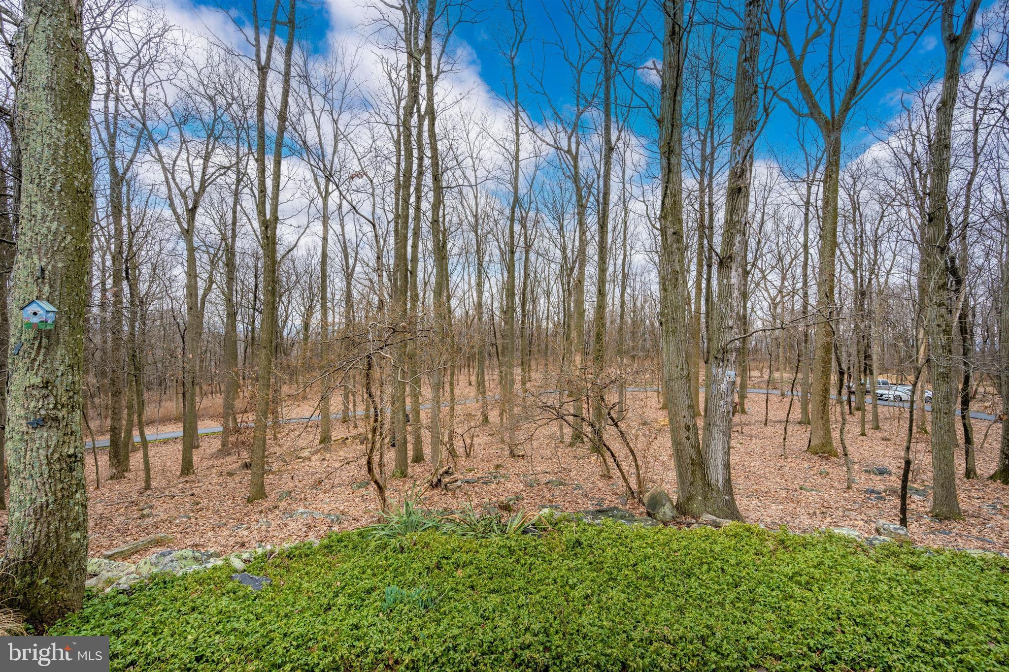 5130 Shookstown Road Frederick, MD 21702 - Photo 48 of 87