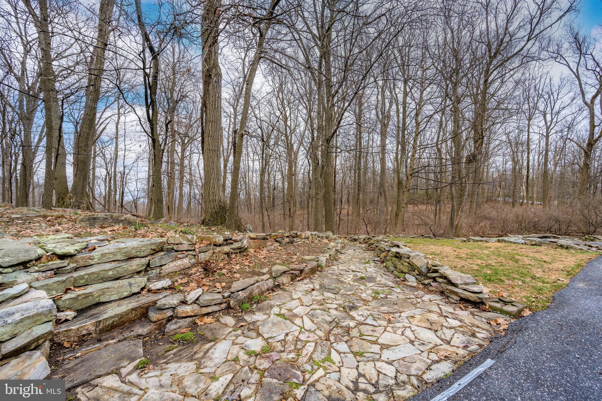 5130 Shookstown Road Frederick, MD 21702 - Photo 58 of 87 a view of a backyard of the house