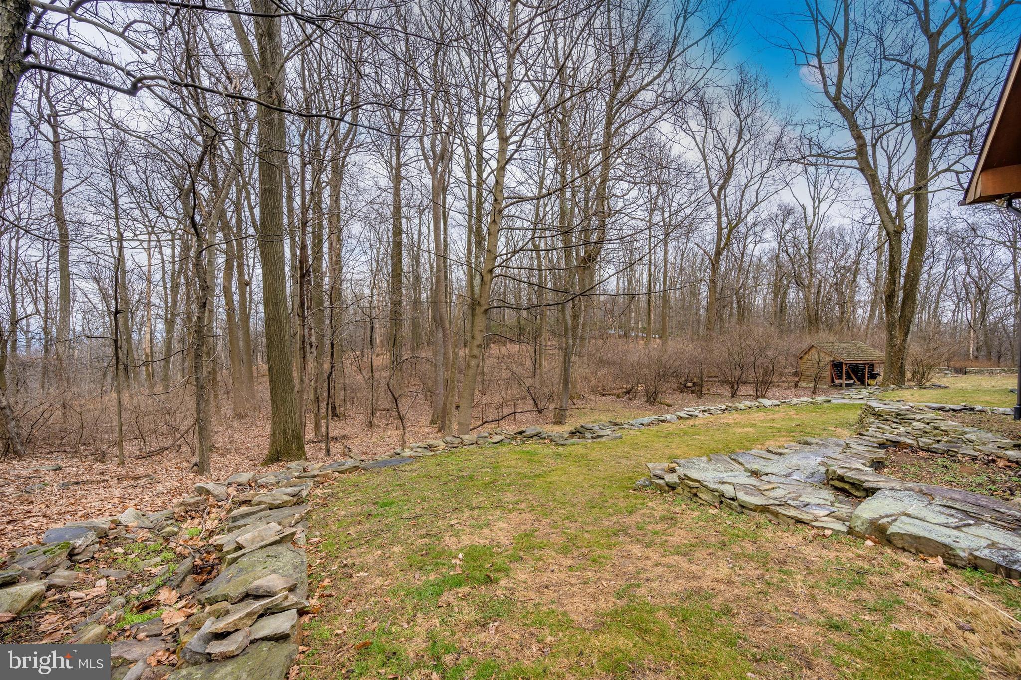 5130 Shookstown Road Frederick, MD 21702 - Photo 59 of 87 a view of a backyard with large trees