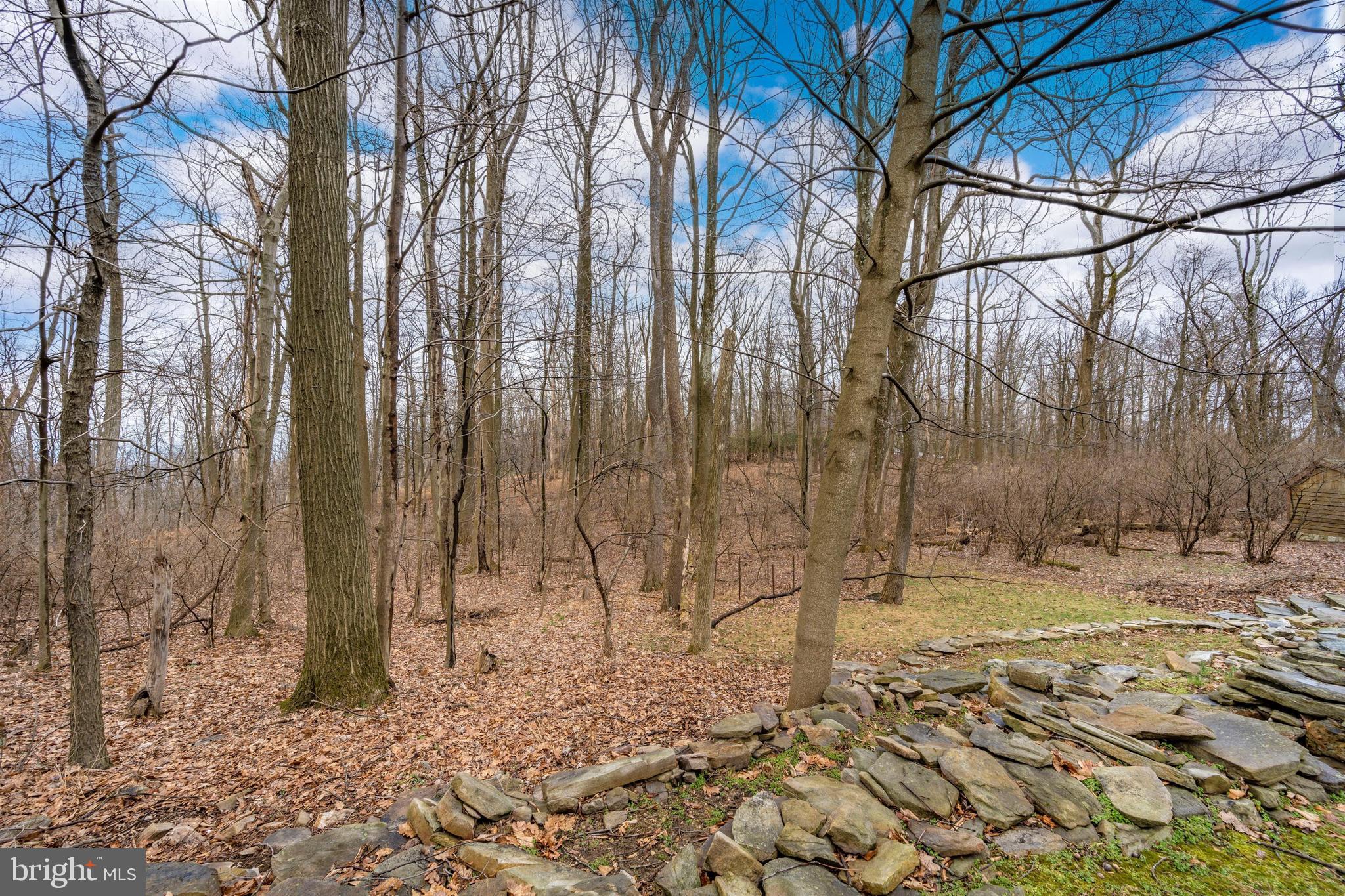 5130 Shookstown Road Frederick, MD 21702 - Photo 60 of 87 a view of a yard with wooden fence