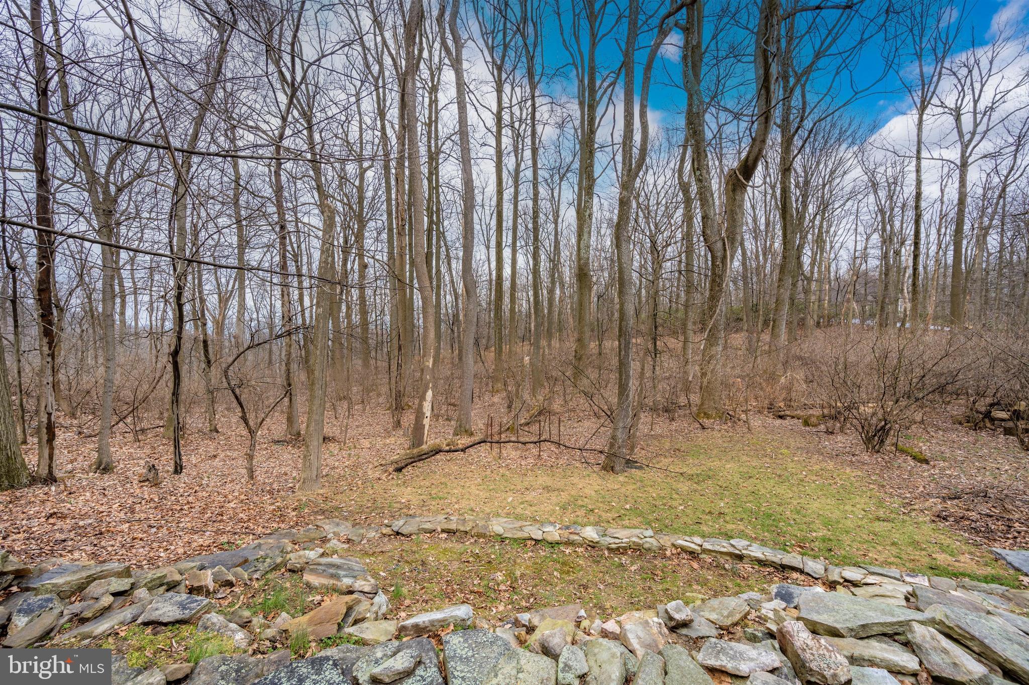 5130 Shookstown Road Frederick, MD 21702 - Photo 61 of 87
