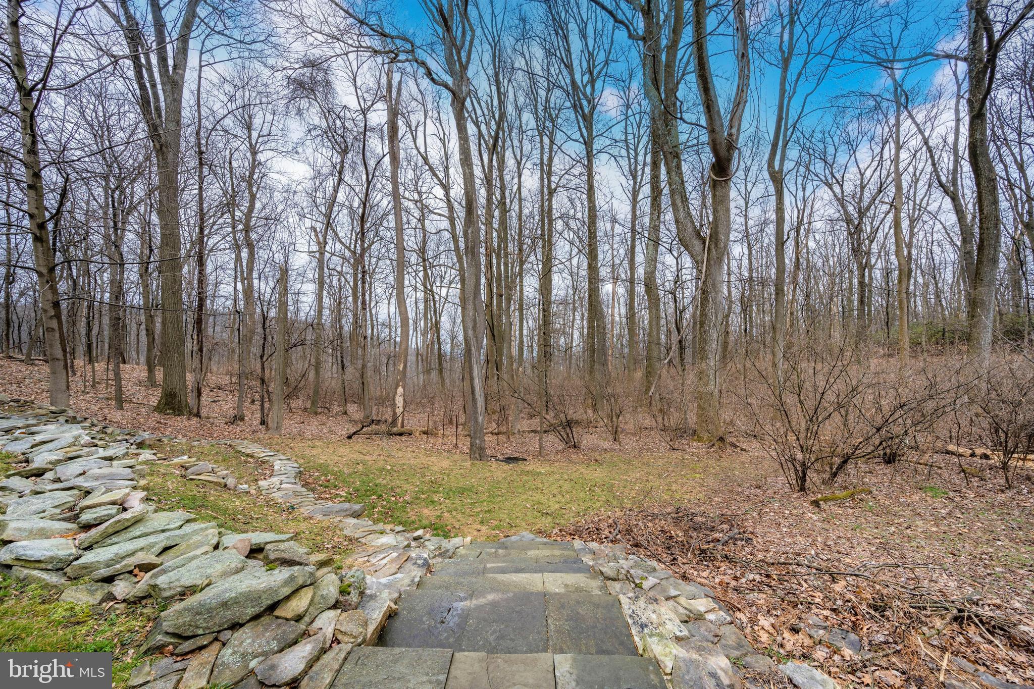 5130 Shookstown Road Frederick, MD 21702 - Photo 63 of 87