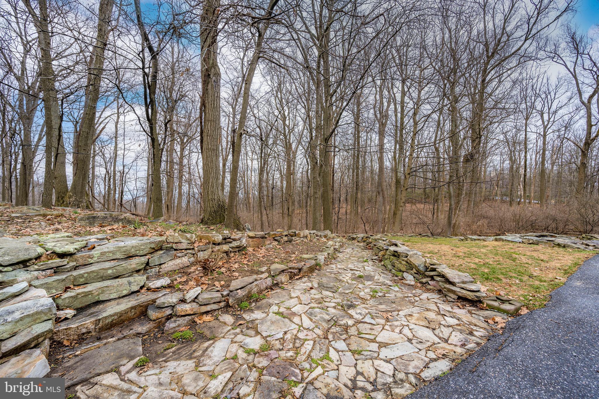 5130 Shookstown Road Frederick, MD 21702 - Photo 8 of 87 a view of a backyard of the house