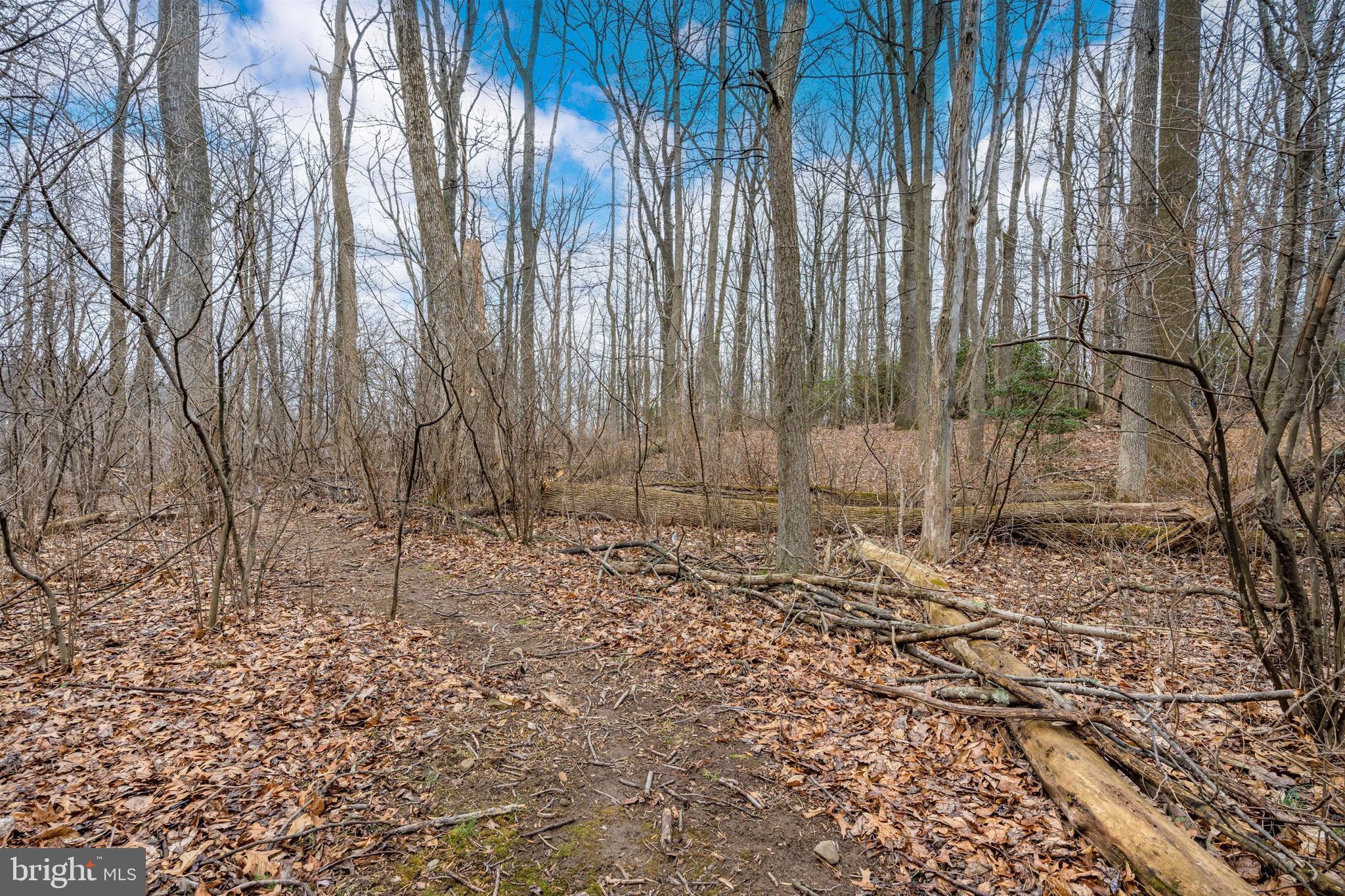 5130 Shookstown Road Frederick, MD 21702 - Photo 76 of 87