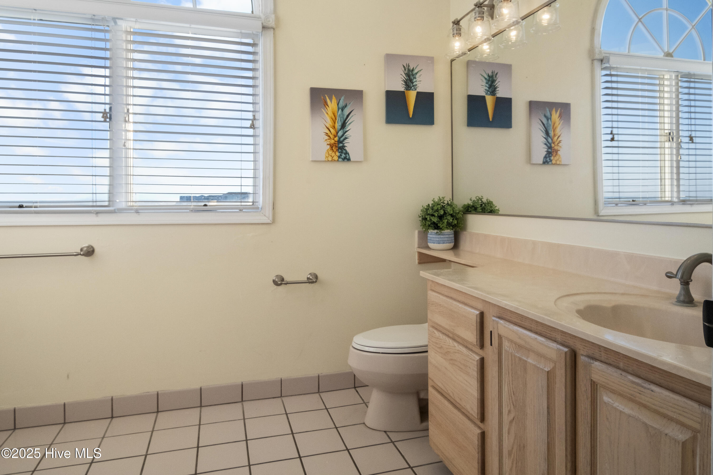 1042 New River Inlet Road North Topsail Beach, NC 28460 - Photo 29 of 34 DSCF3475