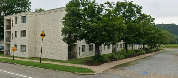 a view of a white house with a large tree
