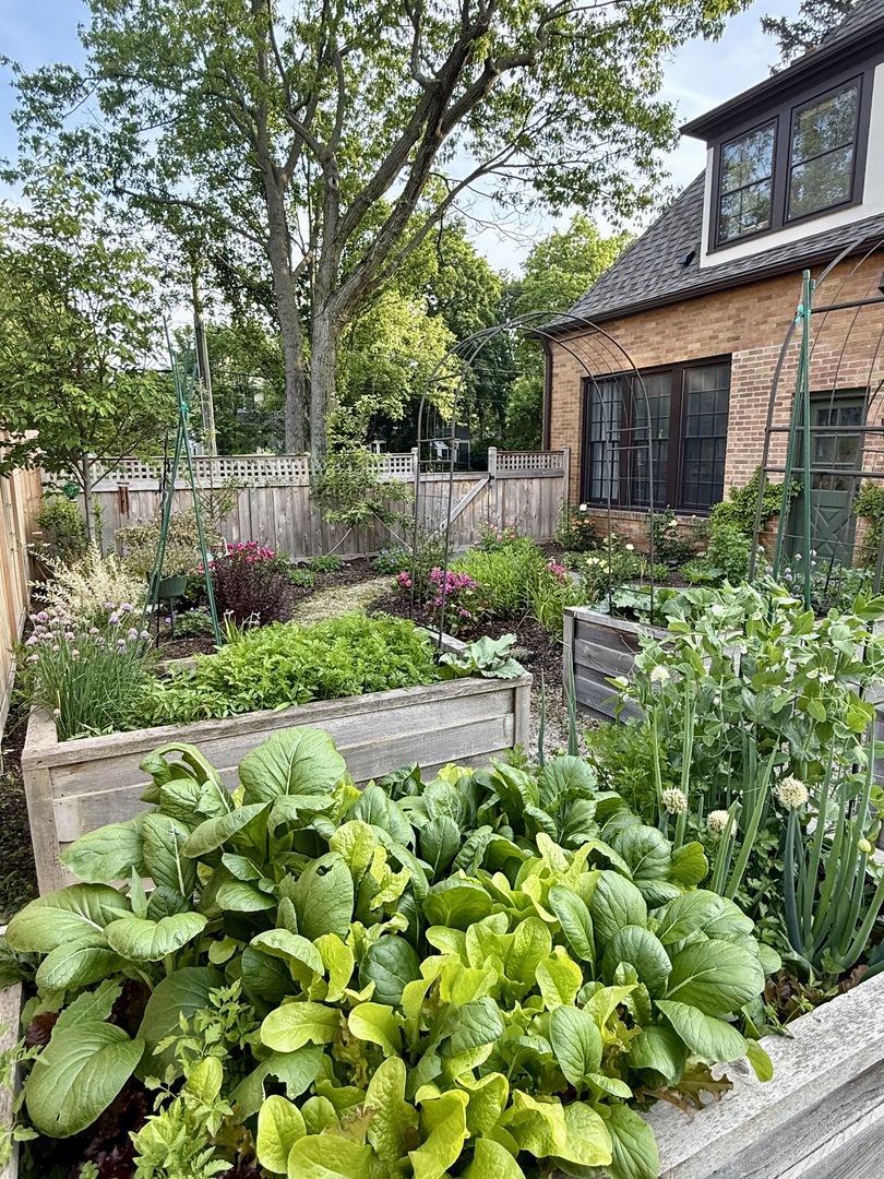 1311 Scott Avenue Winnetka, IL 60093 - Photo 36 of 42