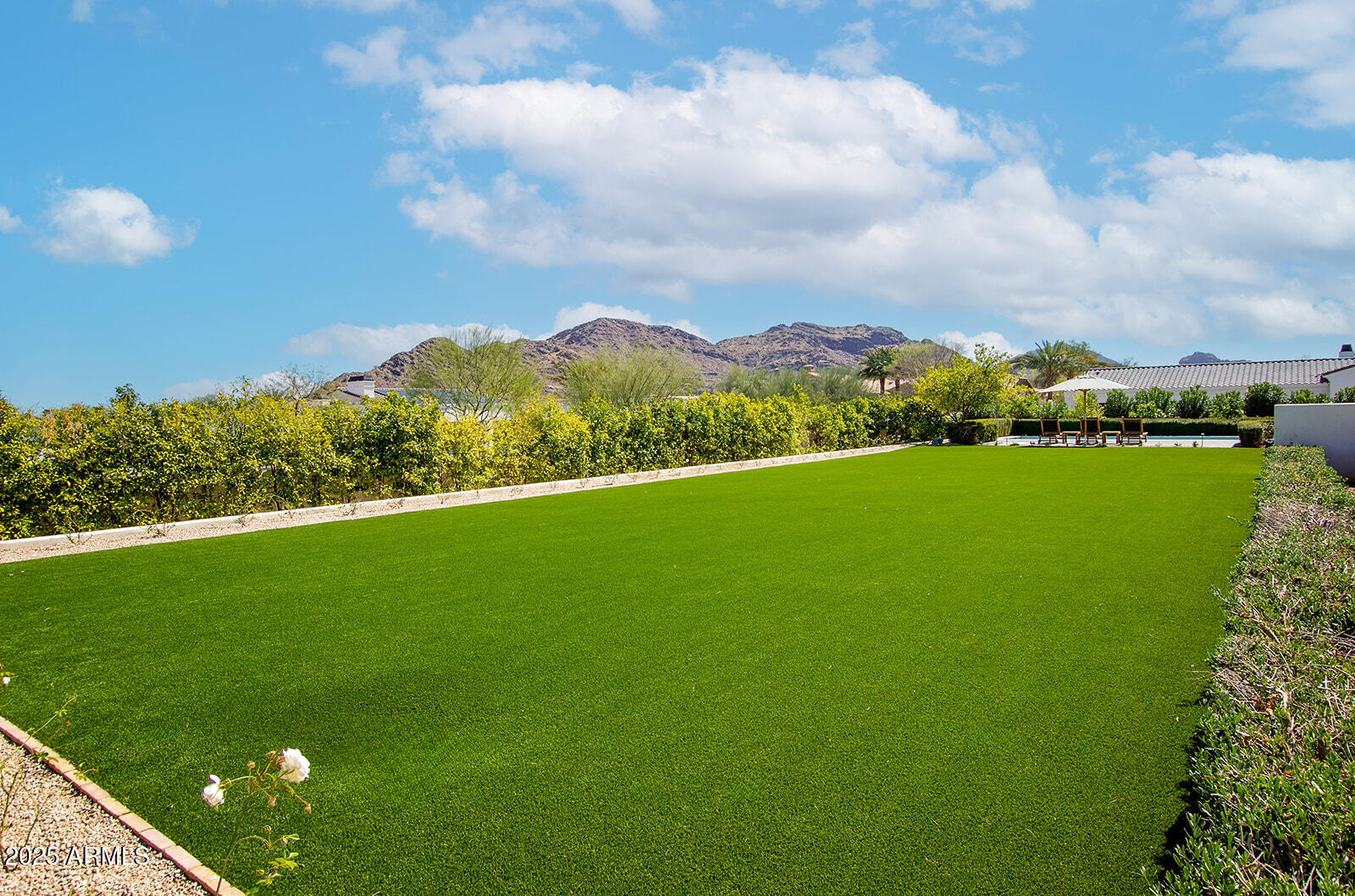 8531 North 49th Street Paradise Valley, AZ 85253 - Photo 2 of 61 Backyard Faux Grass