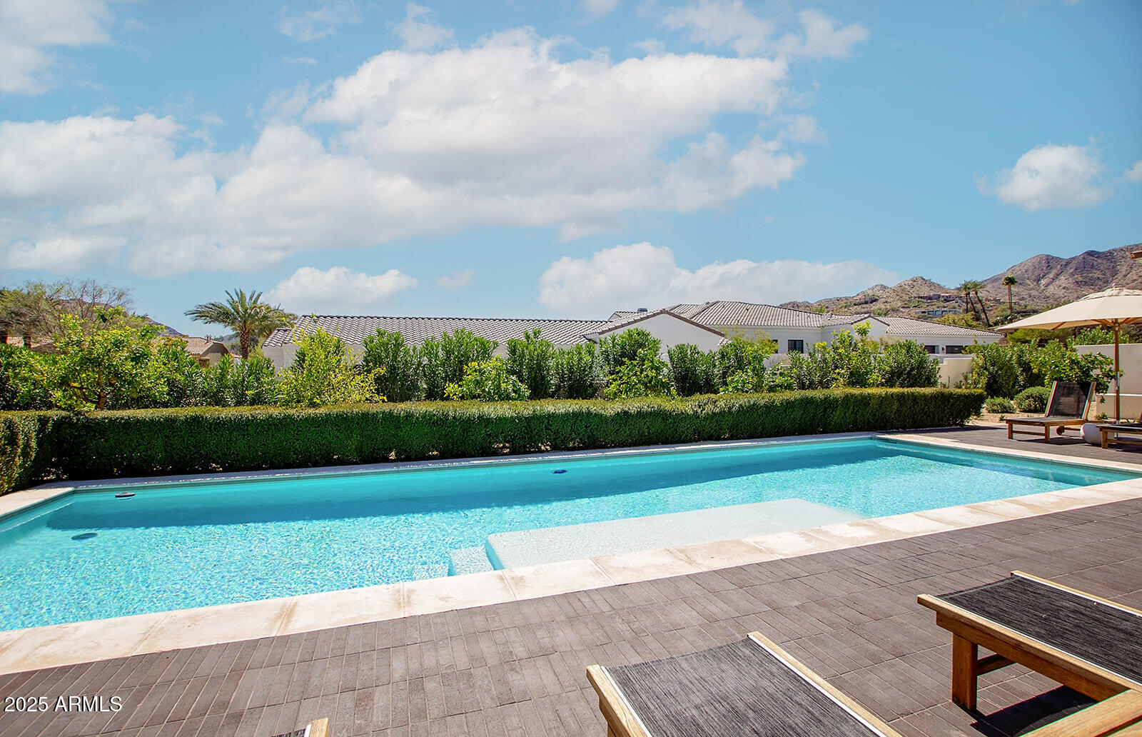 8531 North 49th Street Paradise Valley, AZ 85253 - Photo 55 of 61 Fruit trees next to the pool!