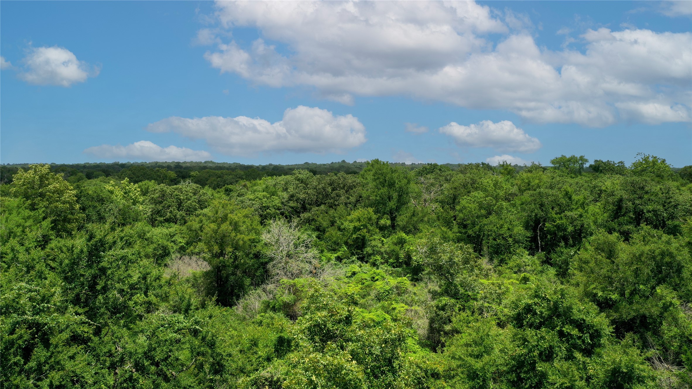 Tbd Tbd Fm-2154 Navasota, TX 77868 - Photo 11 of 27 a view of a lake in middle of green field