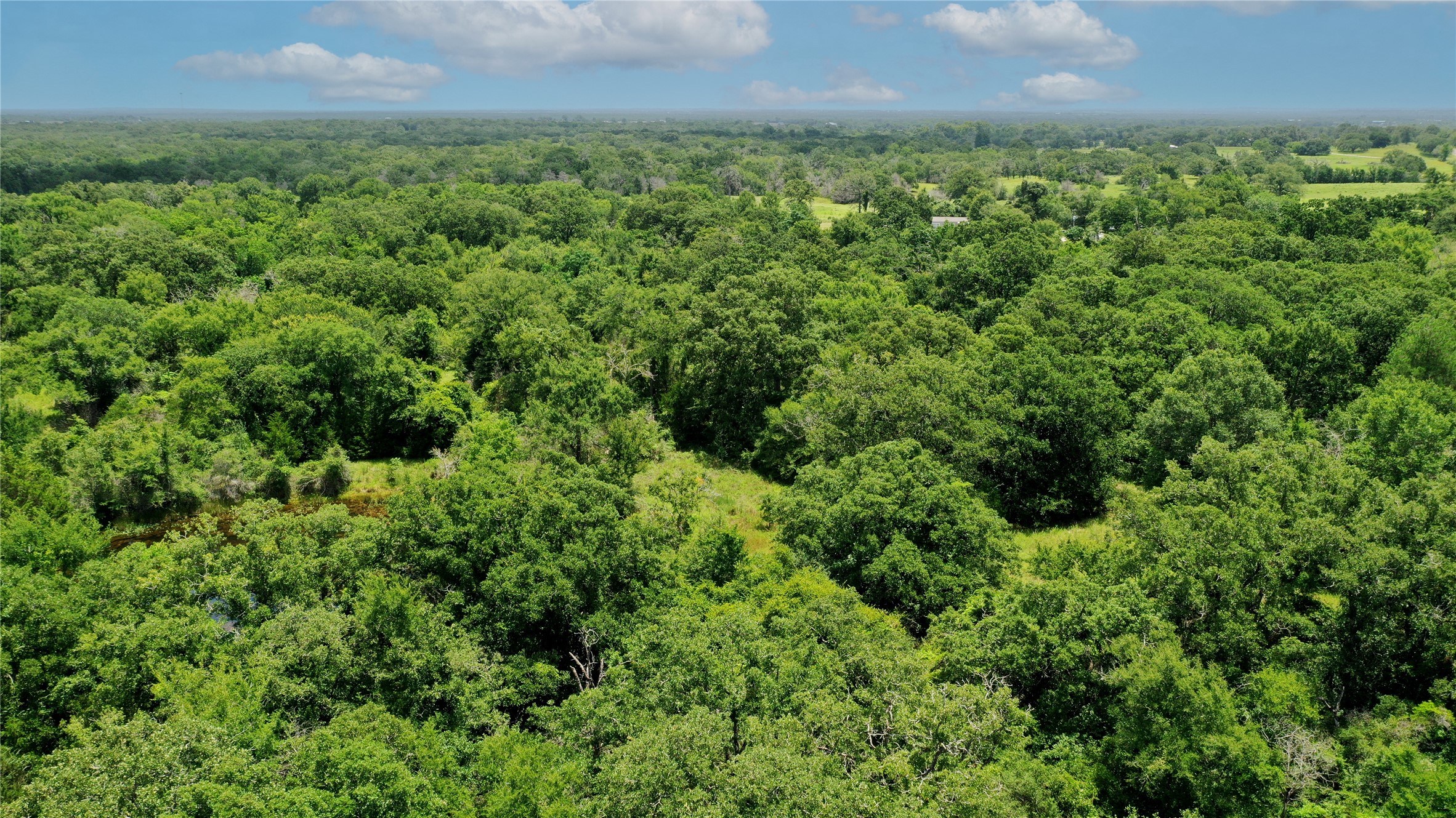 Tbd Tbd Fm-2154 Navasota, TX 77868 - Photo 17 of 27 an aerial view of residential houses with outdoor space and trees