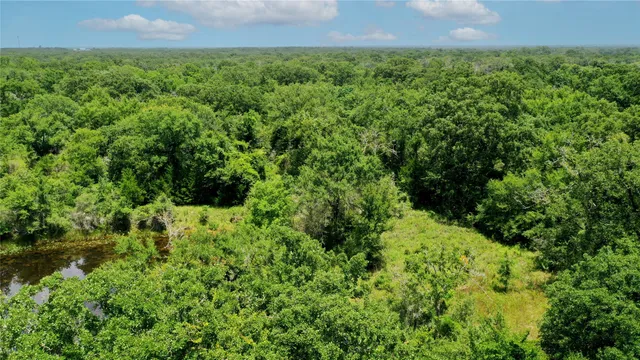 a view of a big yard with plants and a lake view