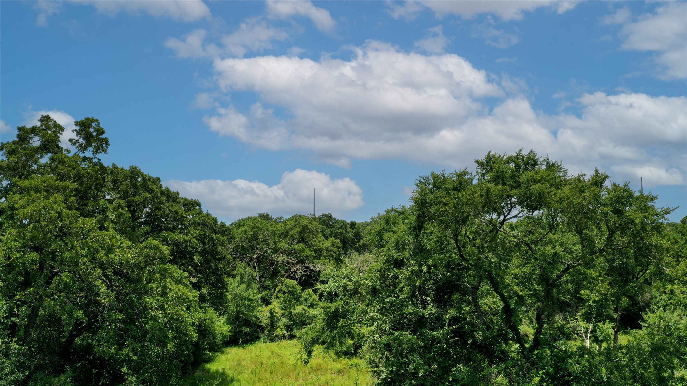 Tbd Tbd Fm-2154 Navasota, TX 77868 - Photo 21 of 27 a view of a big yard with plants and a lake view