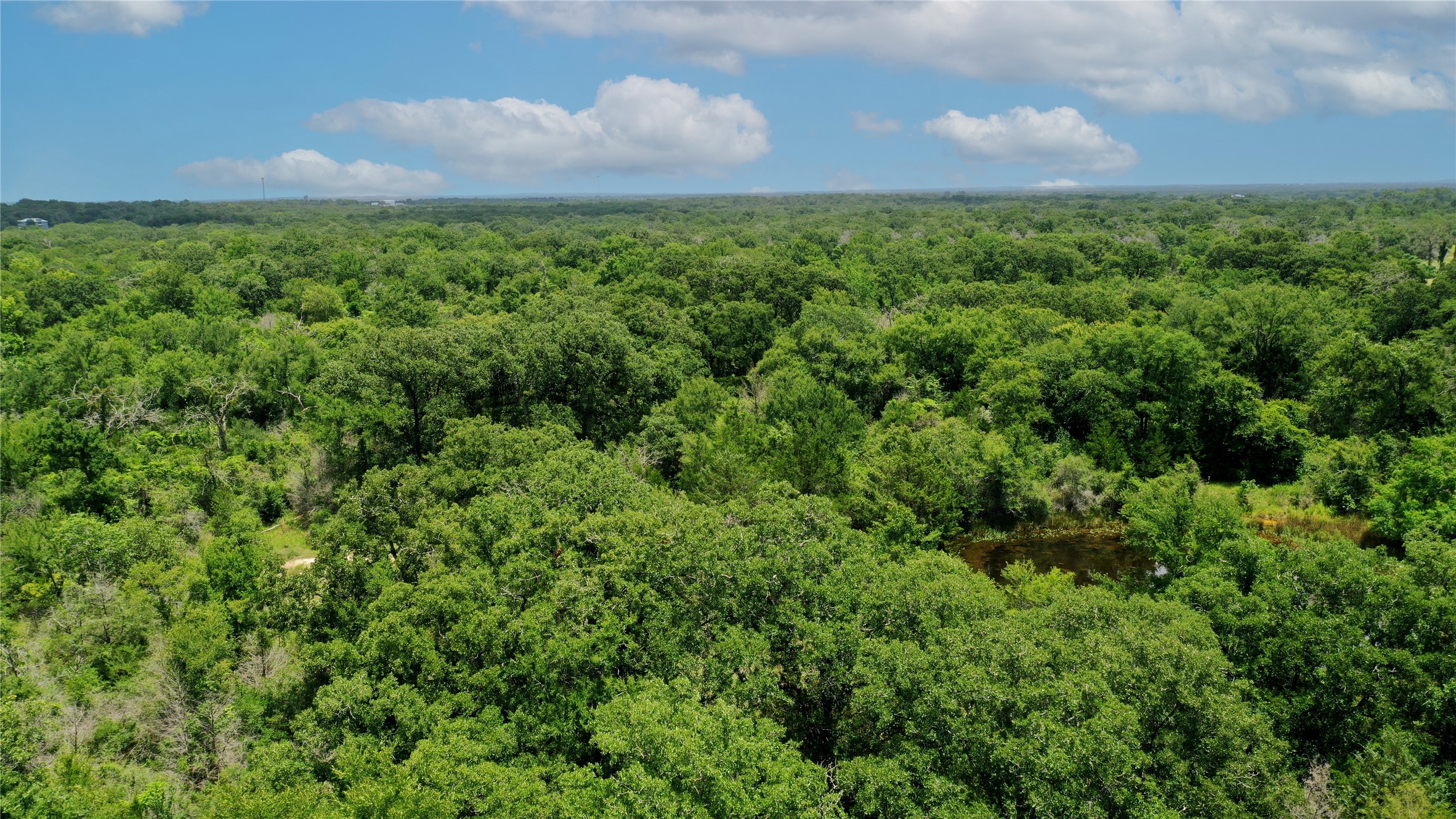 Tbd Tbd Fm-2154 Navasota, TX 77868 - Photo 22 of 27 a view of a green yard