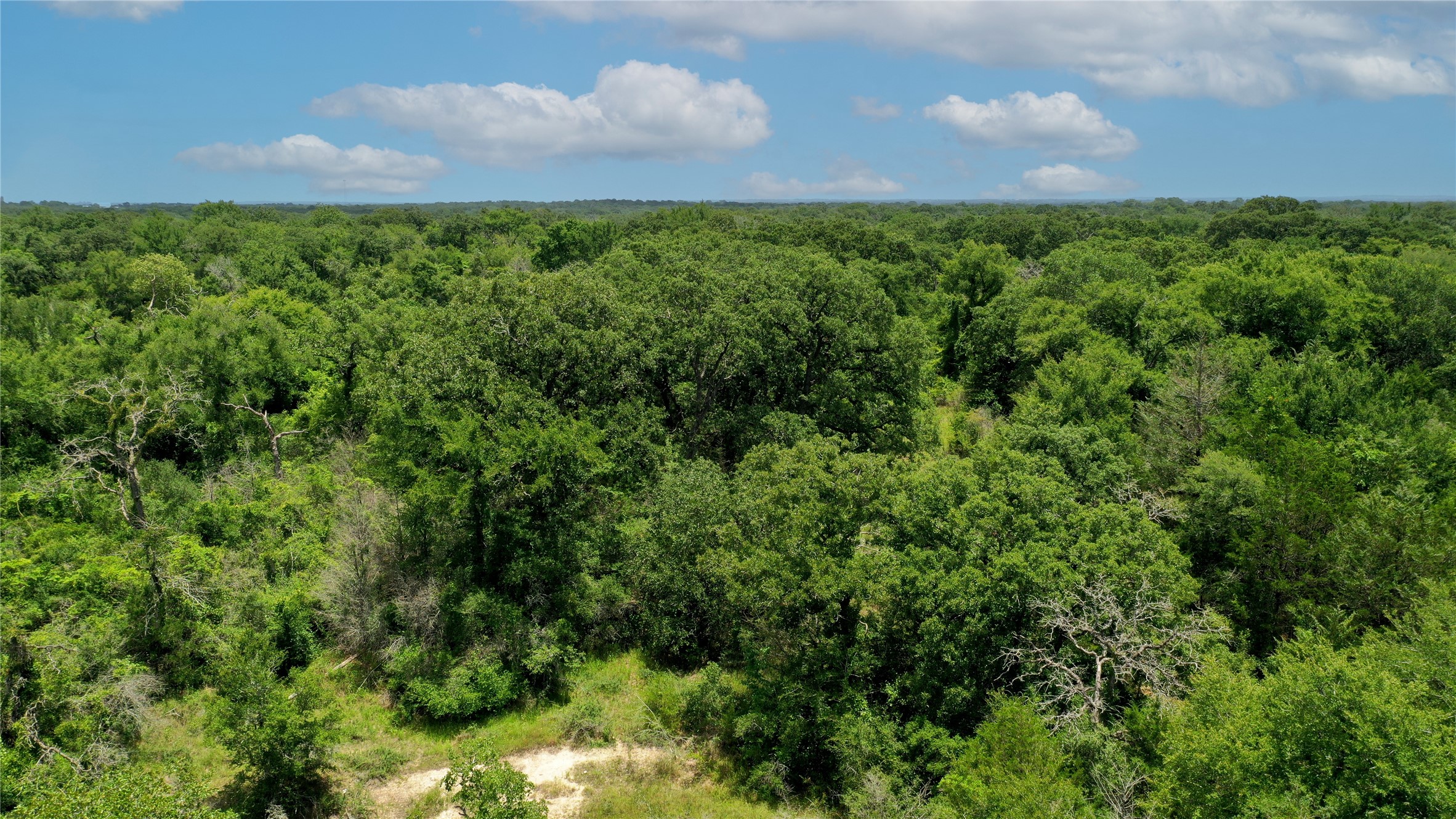 Tbd Tbd Fm-2154 Navasota, TX 77868 - Photo 23 of 27 a view of a bunch of a building