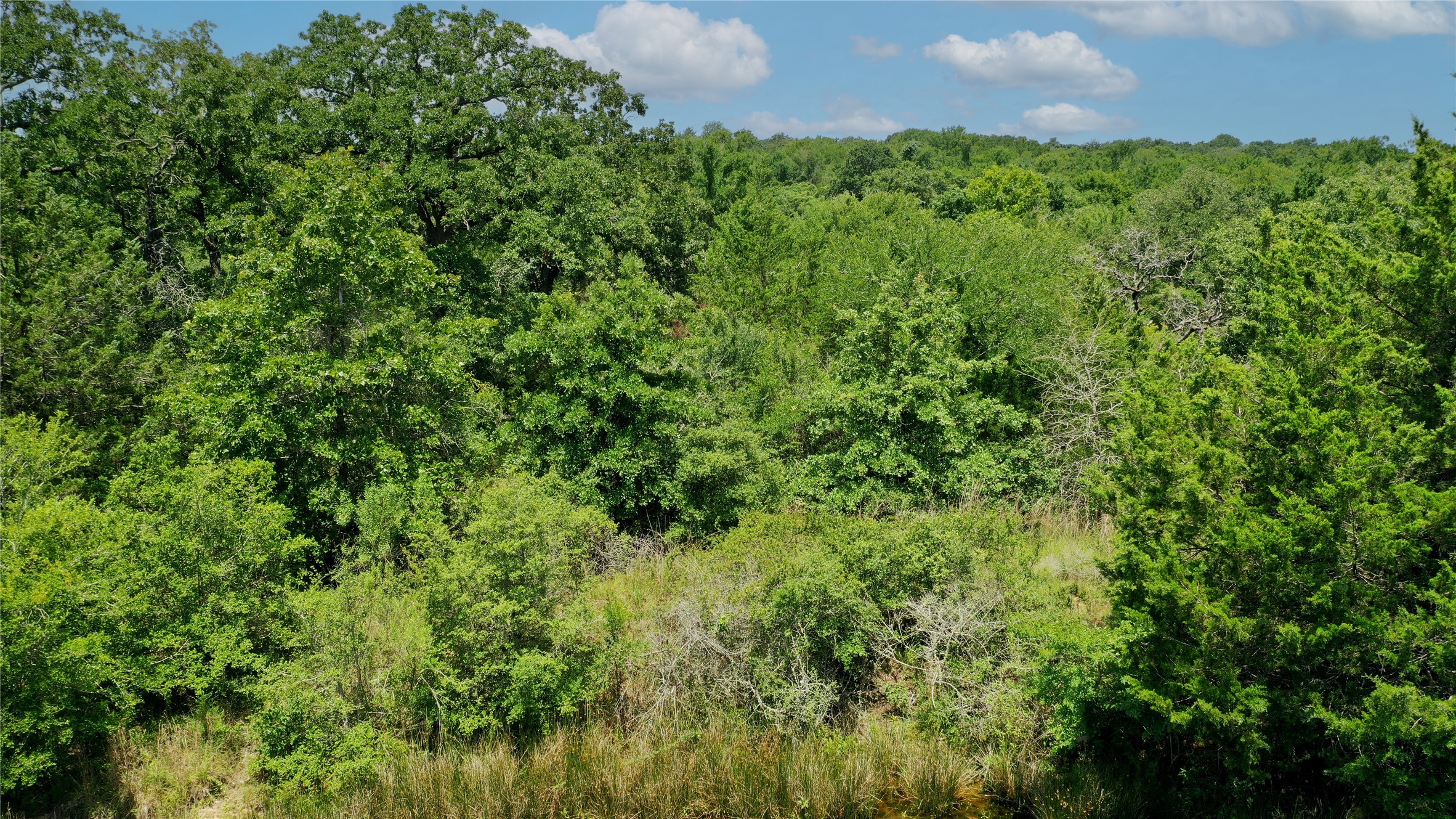 Tbd Tbd Fm-2154 Navasota, TX 77868 - Photo 25 of 27 a view of a garden