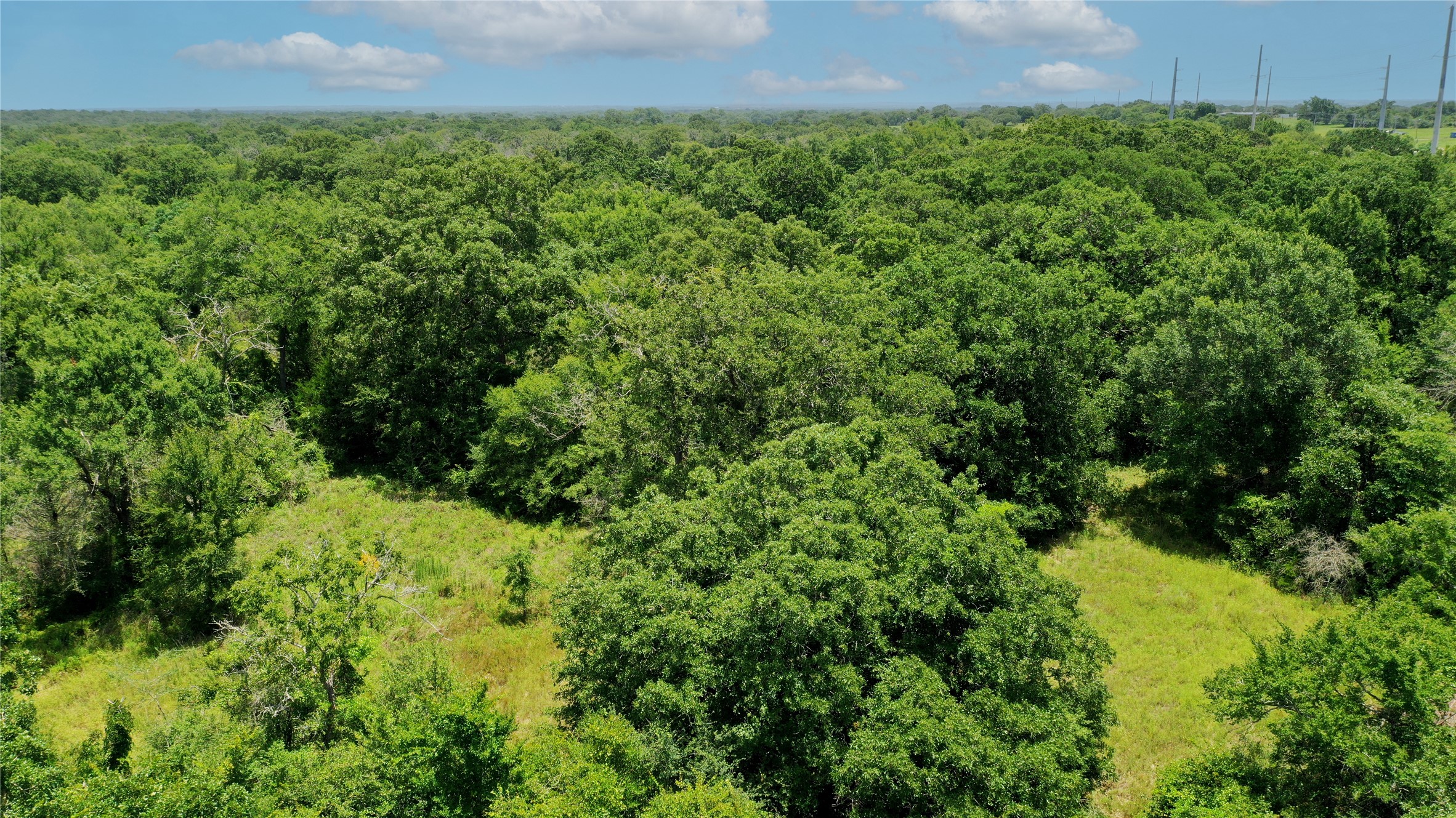 Tbd Tbd Fm-2154 Navasota, TX 77868 - Photo 26 of 27 a view of a garden with a building