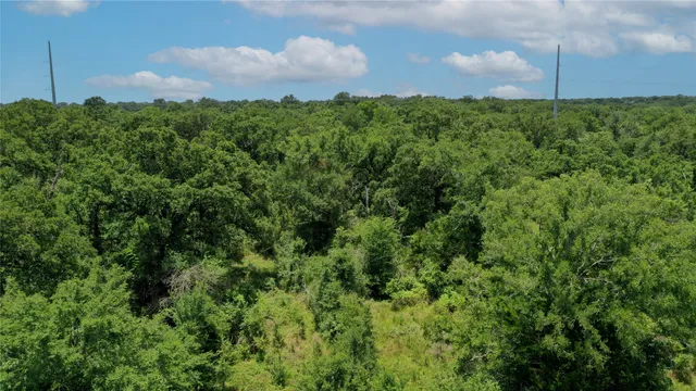 $784,900 | Tbd Tbd Fm-2154, Navasota, TX 77868