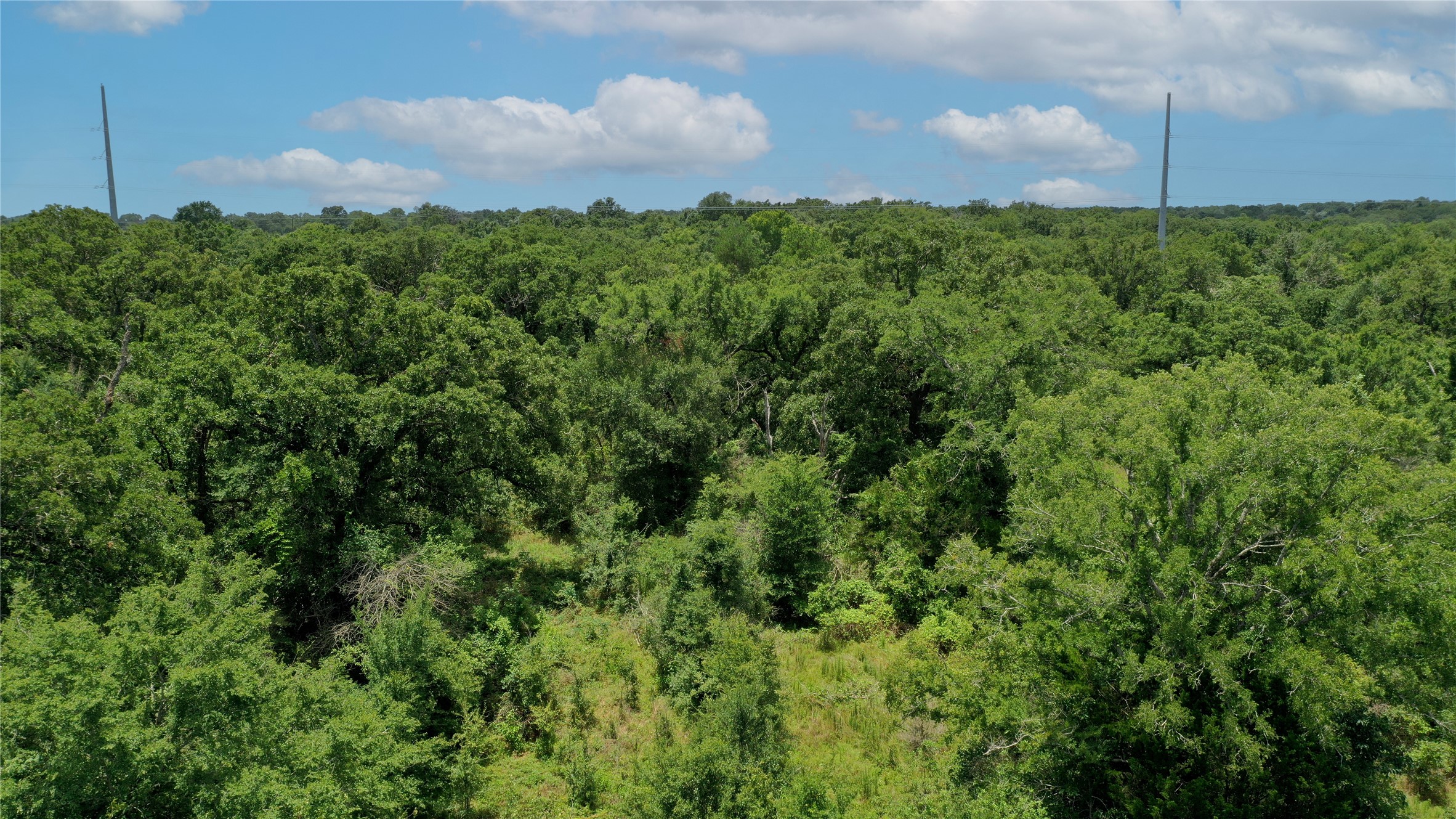 Tbd Tbd Fm-2154 Navasota, TX 77868 - Photo 27 of 27 a view of a lush green field