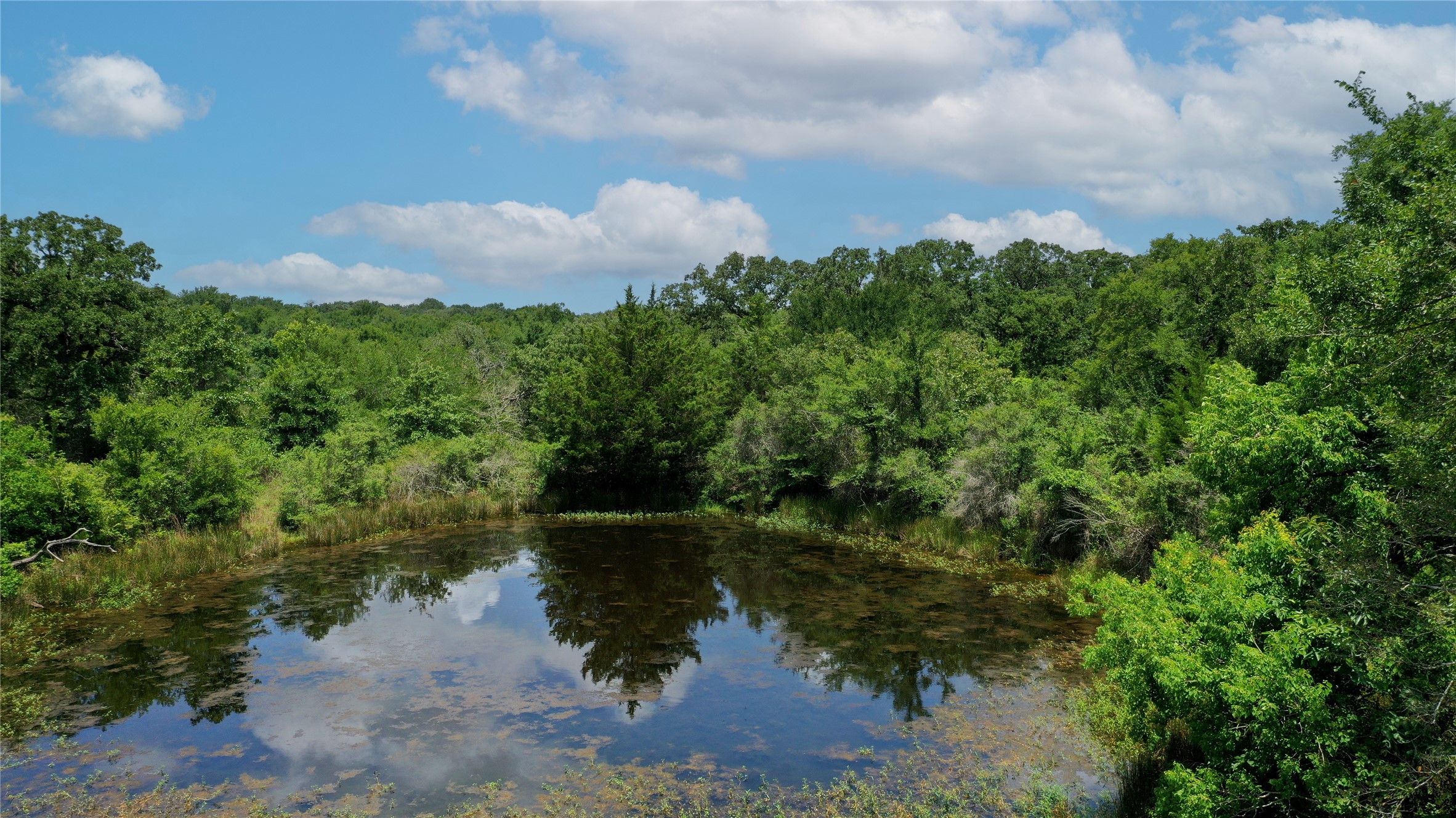 Tbd Tbd Fm-2154 Navasota, TX 77868 - Photo 3 of 27 a view of a lake with a yard