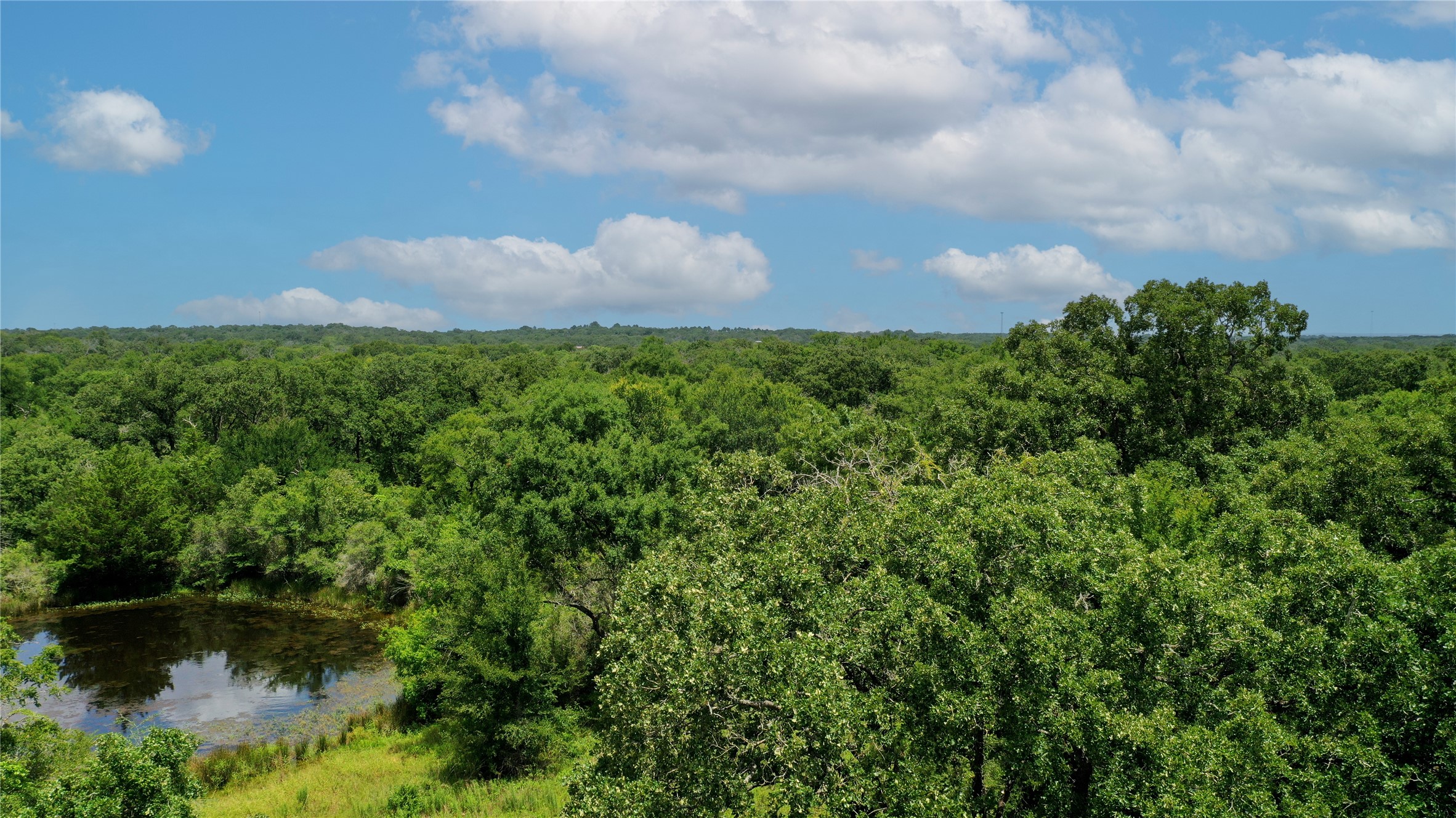 Tbd Tbd Fm-2154 Navasota, TX 77868 - Photo 4 of 27 a backyard of a house with lots of green space