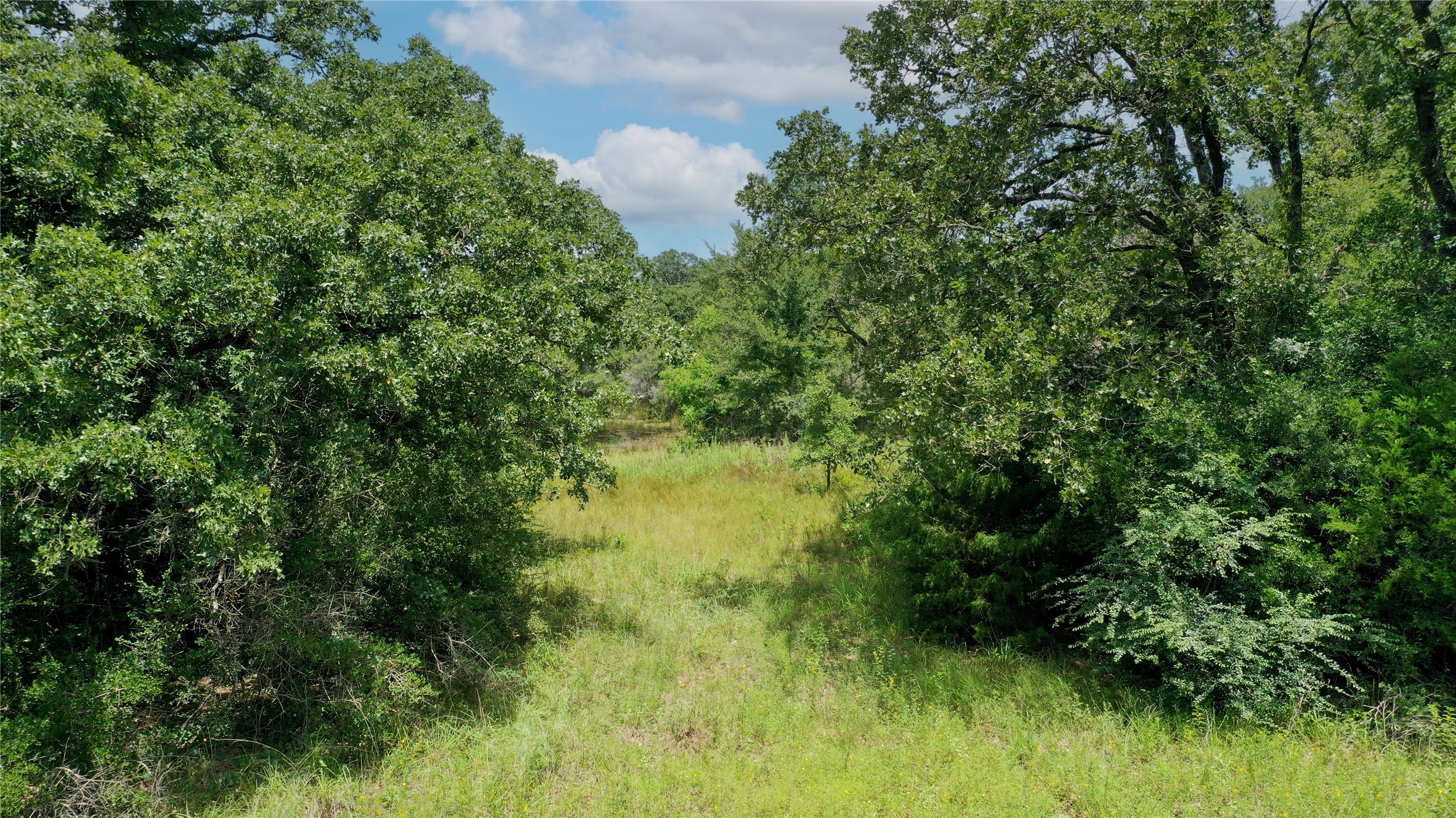 Tbd Tbd Fm-2154 Navasota, TX 77868 - Photo 5 of 27 a view of a lush green space
