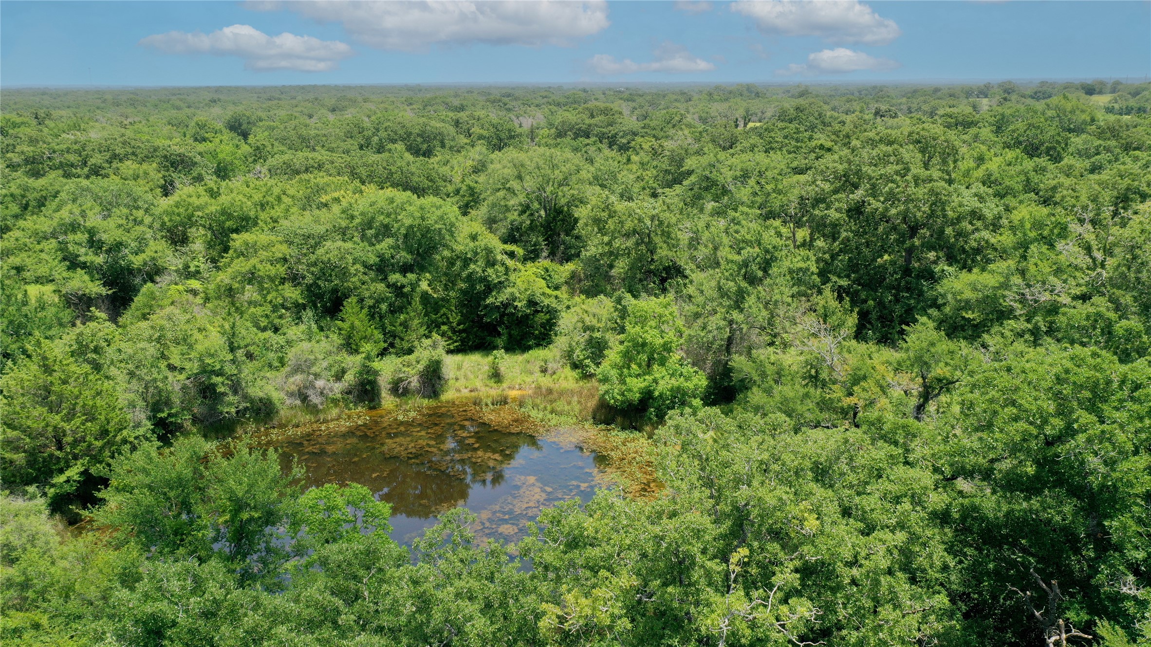 Tbd Tbd Fm-2154 Navasota, TX 77868 - Photo 6 of 27 a view of a garden with a building