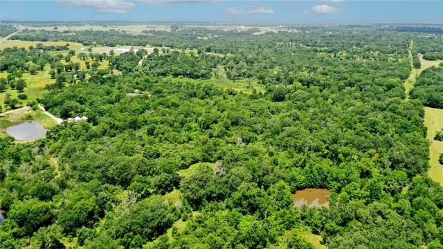 an aerial view of a residential houses with outdoor space and trees