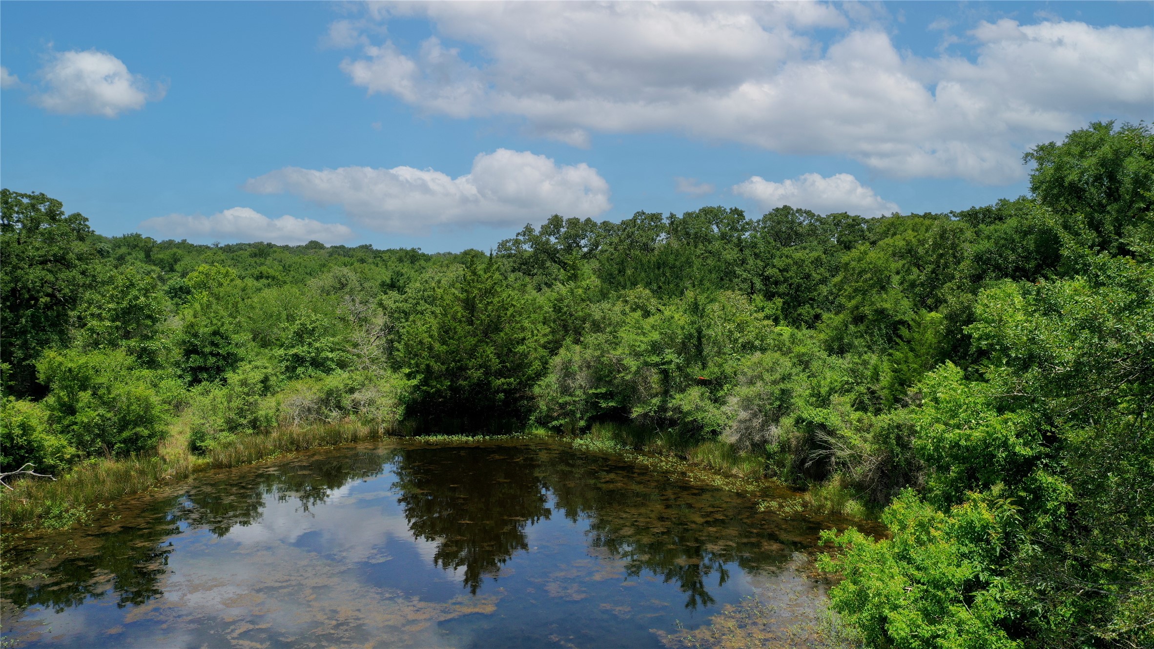 Tbd Tbd Fm-2154 Navasota, TX 77868 - Photo 9 of 27 a view of a lake with a yard