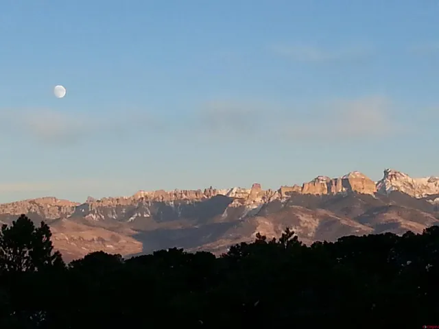 a front view of house with a yard