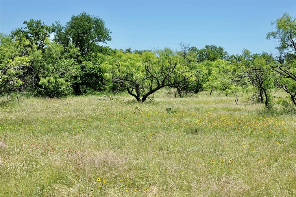219 C R 550 Mullin, TX 76864 - Photo 34 of 37 a view of a yard with a tree