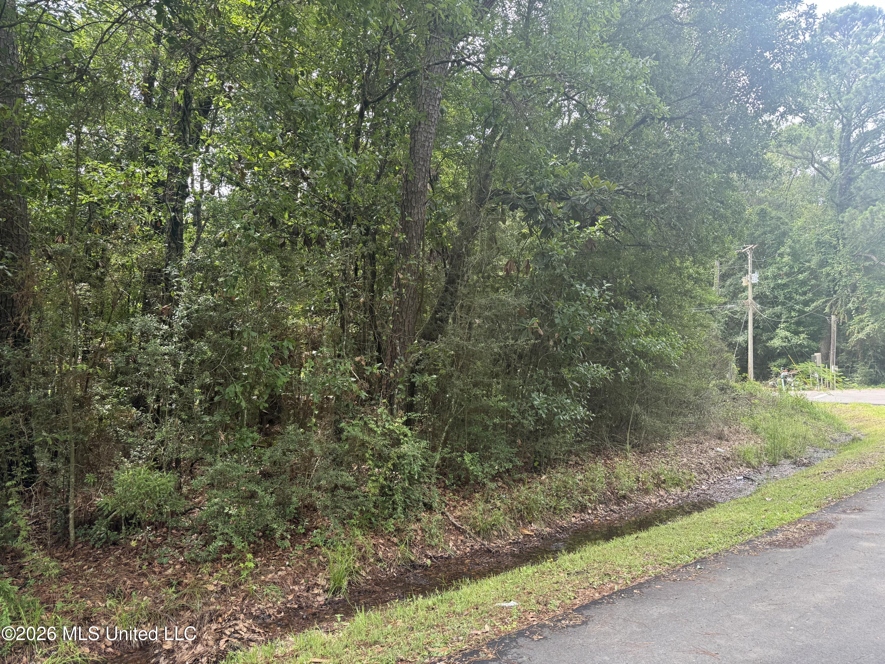 John Williams Road Moss Point, MS 39563 - Photo 2 of 4 IMG_1210