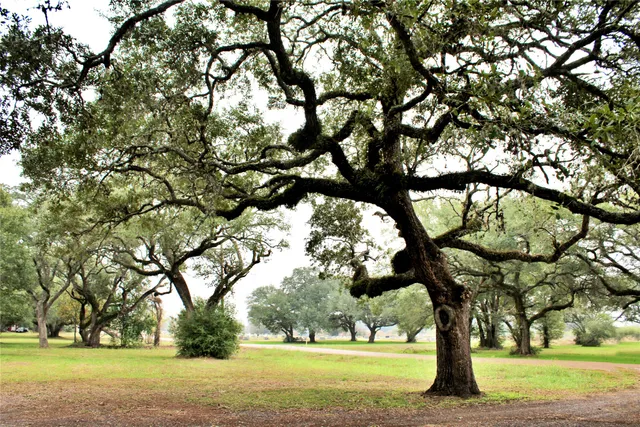 $289,000 | 1630 Montezuma Street, Columbus, TX 78934