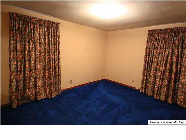 3497 Shannon Wenonah Road Bessemer, AL 35022 - Photo 3 of 16