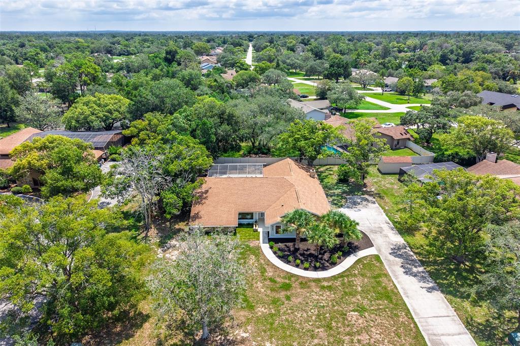 5380 Patricia Place Weeki Wachee, FL 34607 - Photo 65 of 82 Gallery Image 65