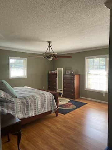 106 Sanford Road Starr, SC 29684 - Photo 10 of 16 Gallery Image 10