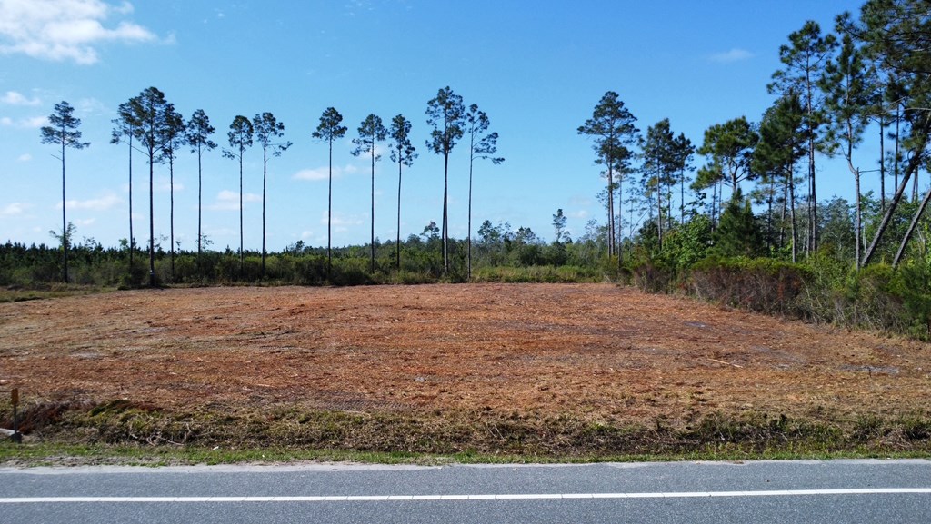 Lot 16 Doc Whitfield Road Wewahitchka, FL 32465 - Photo 3 of 9