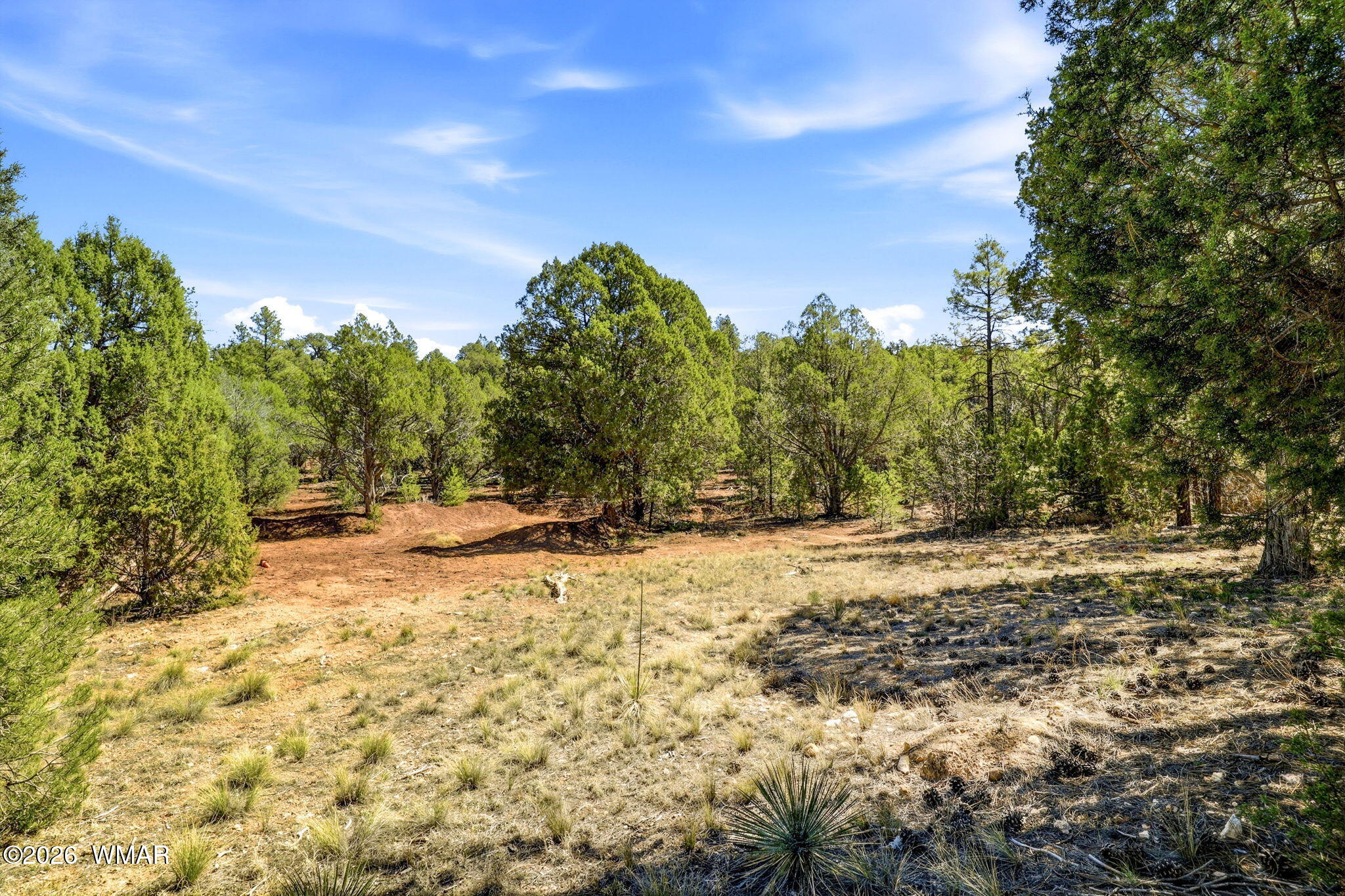 757 Jacks Wild Road Show Low, AZ 85901 - Photo 33 of 45 Gallery Image 33