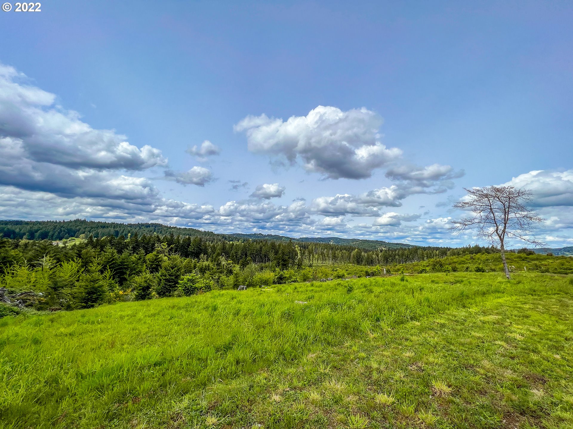 Lamb Road, Unit 1 Elmira, OR 97437 - Photo 29 of 32 Gallery Image 29