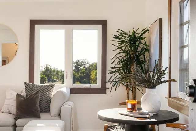 a living room with furniture and a potted plant