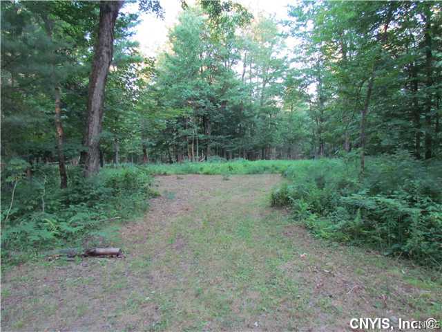 Dwyer Partridgeville Road Brantingham, NY 13312 - Photo 1 of 1 Land