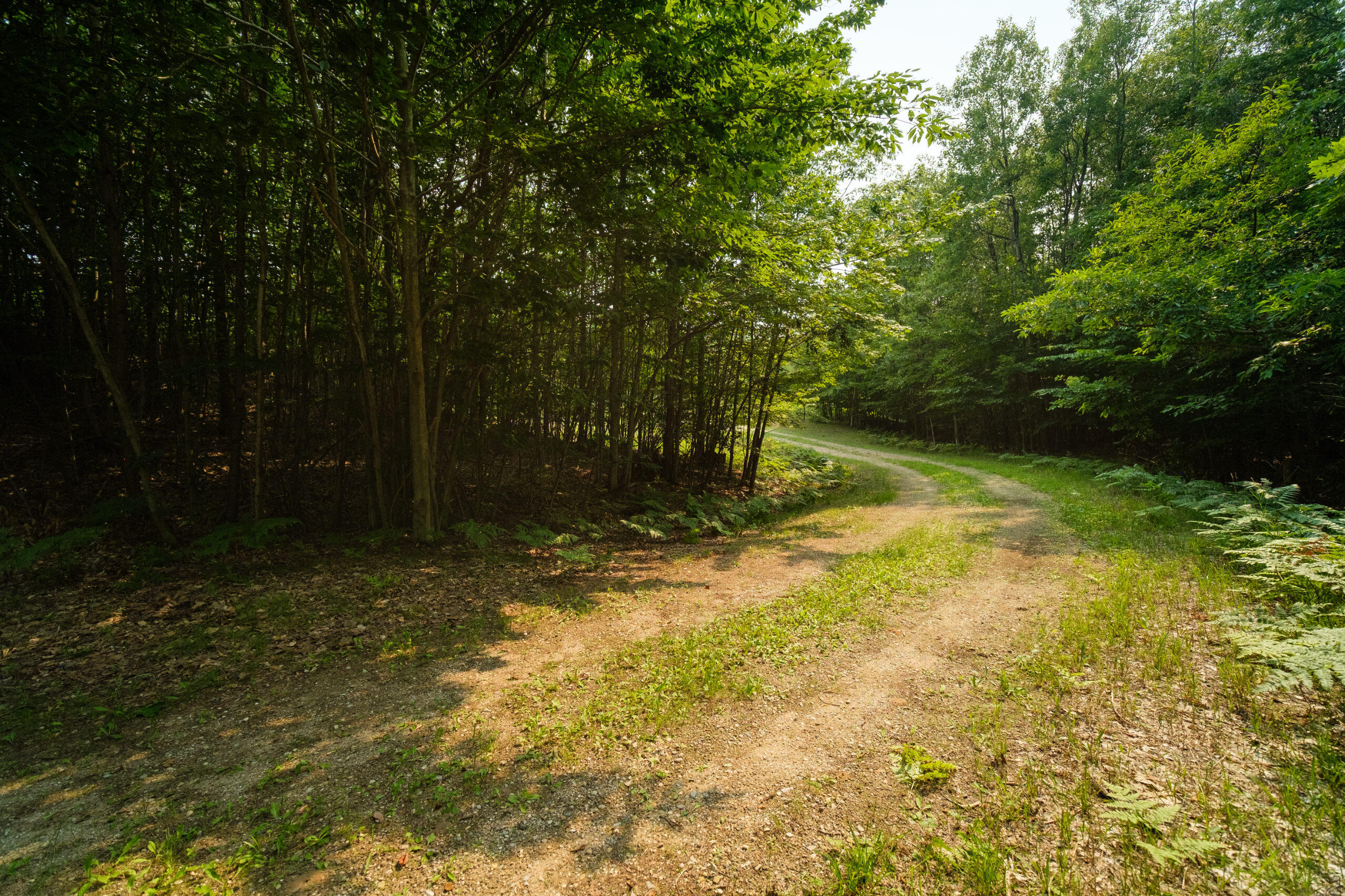 Outback Ridge Manistee, MI 49660 - Photo 4 of 19 Drive in to ultimate privacy