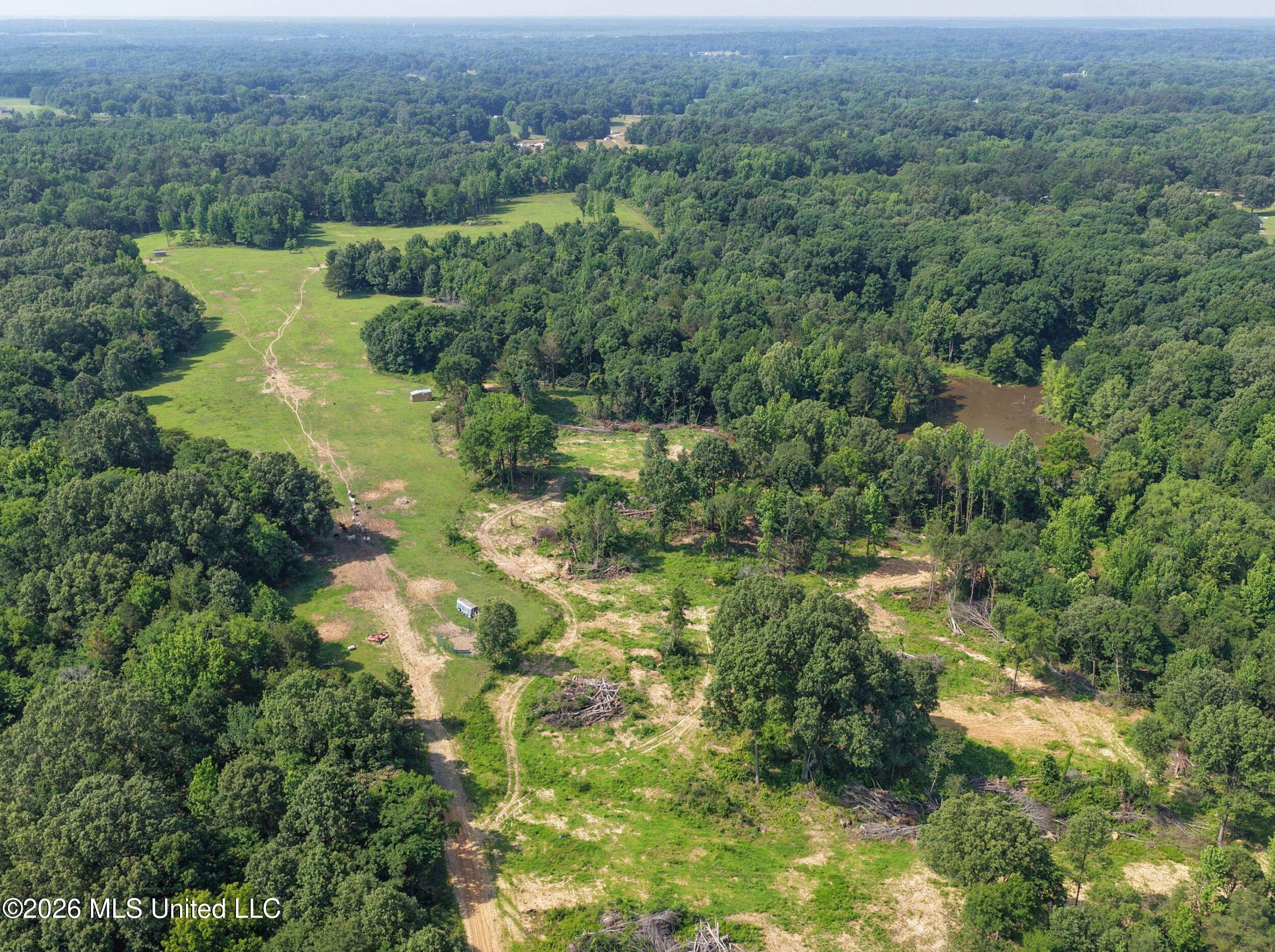 2169 Slocum Road Hernando, MS 38632 - Photo 14 of 94 5slcm5