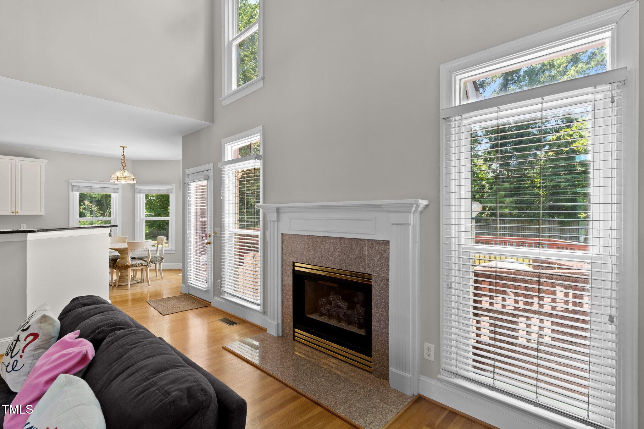 3556 Iris Street Wilmington, NC 28409 - Photo 10 of 52 a living room with furniture and a fireplace