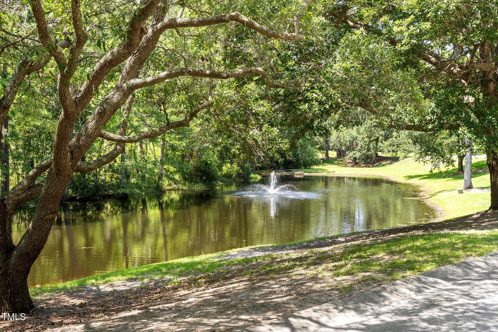 3556 Iris Street Wilmington, NC 28409 - Photo 47 of 52 a view of a lake view